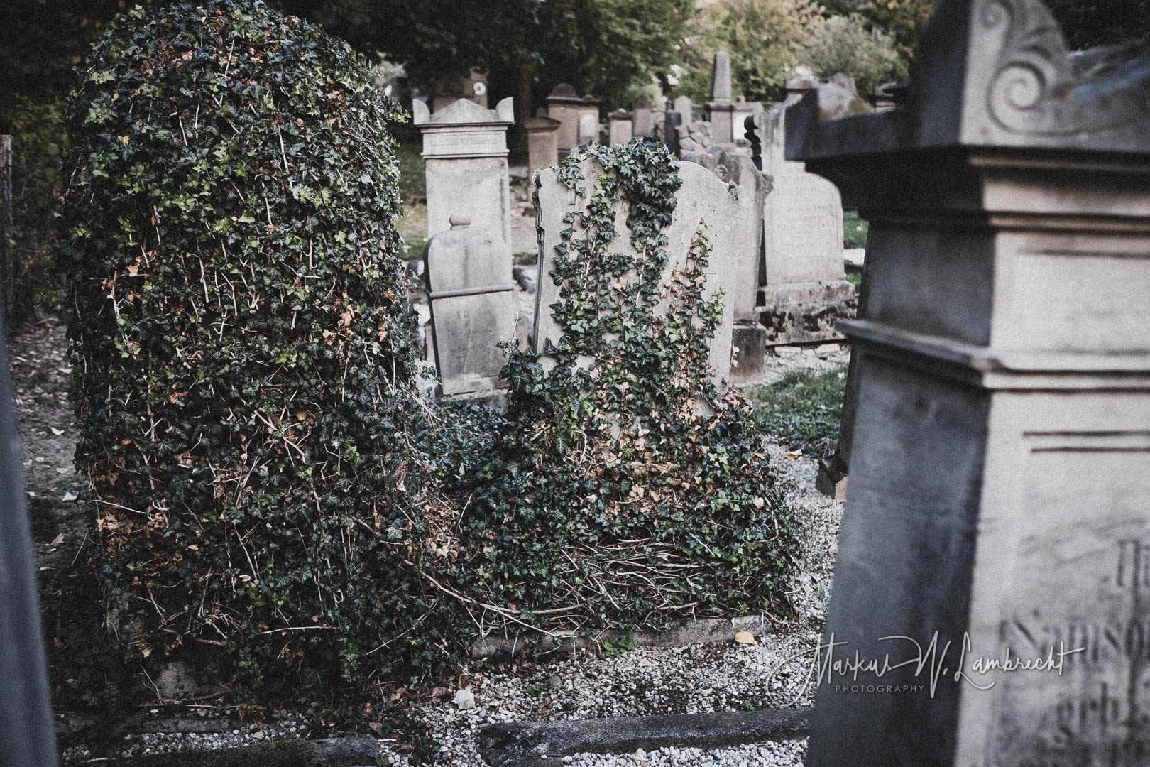 Nieheim, Jüdischer Friedhof